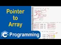 Pointer to Array in C C Programming
