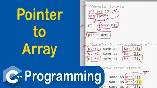 Pointer to Array in C C Programming