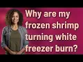 Why are my frozen shrimp turning white freezer burn
