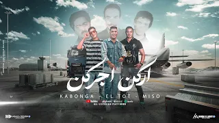 مهرجان   اركن اجركن   اسلام كابونجا   نور التوت   ميسو ميسره   توزيع فيجو الدخلاوي   مهرجانات      دندنها