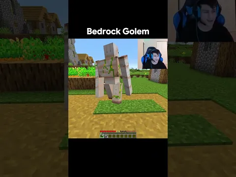 Java Irongolem Vs Bedrock Irongolem