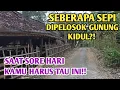 Download Lagu PELOSOK GUNUNG KIDUL/SAAT SORE HARI⁉️