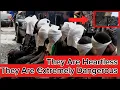 How The Most Dangerous Robbers Were Captured With A Former Dss Officer