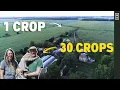 Lagu This Small Farm Is An Oasis In The Middle Of Corn Country! | Farm Tour Aslan Organics