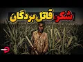 Download Lagu شیرینی شکر و تلخ کامی مظلوم ترین بردگان تاریخ