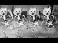 Download Lagu Spooky Scary Dogs