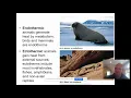 30 1 Homeostasis and Organization of the Human Body