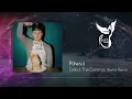 Pawsa - Collect The Commas (Borlini Remix)