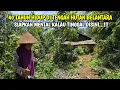 HERAN..!!! MASIH ADA ORANG YANG TINGGAL DI HUTAN BELANTARA 