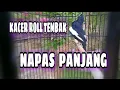 Download Lagu Kacer Roll Tembak Pas Buat Pancingan | Masteran Kacer Roll Tembak.