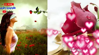 طرب حالات واتس فريد الأطرش 1 