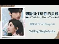 想悄悄住进你的灵魂 (Want To Quietly Live in Your Soul) - 萧秉治 (Xiao Bingzhi)《难哄 The First Frost》Chi/Eng/Pin