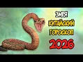 Download Lagu КИТАЙСКИЙ ГОРОСКОП на 2026 год для ЗМЕИ