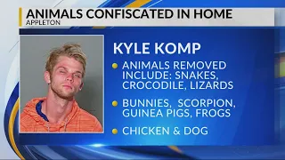Animals removed from Appleton home