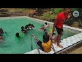 Download Lagu Wisata Desa Koto Ranah Dharmasraya #Kolamrenang#Outbond#Embung#ATV#Panahan