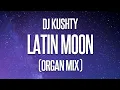 Download Lagu Latin moon (Organ Remix)
