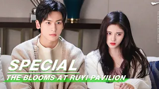 special ju jingyi gets fake marry with zhang zhehan the blooms at ruyi pavilion iqiyi