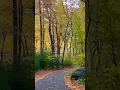 Download Lagu Time to say goodbye to fall !! #fallisdone #fall #winteriscoming #usa