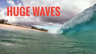 Huge Shorebreak Waves In Maui Edit