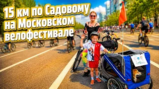 Я тащила собак, сын не жаловался, камера не выжила