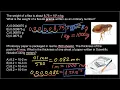 Scientific notation Practice problems