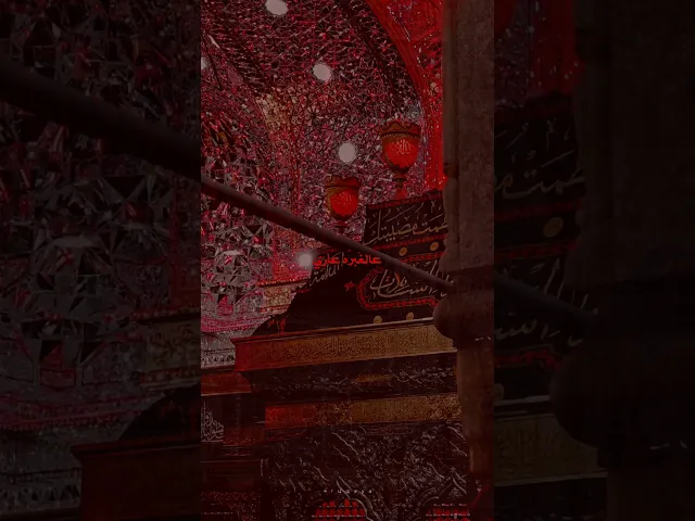 ⁣يبن أمي عالتربان عفتك رميه عيني نعمت ولا شوف ذيج المسيه ...#الشيخ_شبر_معله