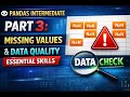 Pandas Intermediate Part 3 Handling Missing Values Data Quality Real-World