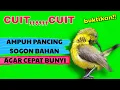 Download Lagu pancingan SOGON BAHAN ombyokan agar cepat berkicau, sogon trotol ngalas(video original tanpa di edit