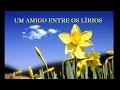 Clipe Um amigo entre os Lirios 344 Harpa Cristã