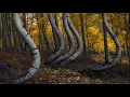 Lisa Kelly. The Deer's Cry