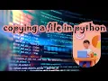 copying a file and count lines in python