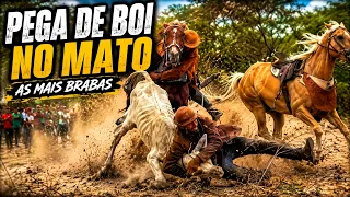 PEGA DE BOI NO MATO RAIZ | AS PEGAS MAIS BRABAS DO INTERIOR
