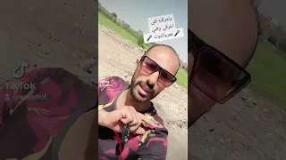 يامركبه لفي اغرقي وقبي   عمروالتوت       عمرو سلامه دندنها