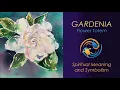 Gardenia totem/Gardenia flower meaning/Gardenia symbolism