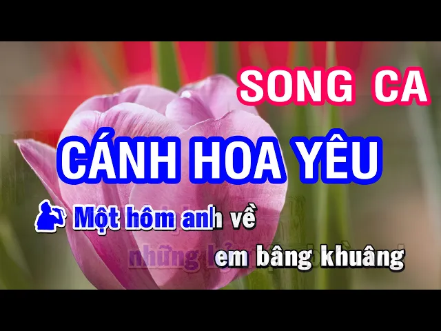 Karaoke Cánh Hoa Yêu - Song Ca | Nhan KTV