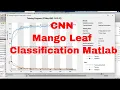 How To Train Your CNN To Detect Mango Leaf Diseases With 96 Accuracy - Part 2