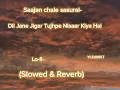 Dil jane jigar tujhpe nisaar kiya hai lo-fi(slowed & reverb) Movie Saajan chale sasural #lofi #vibez