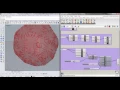 Mesh to Connectors Grasshopper Python