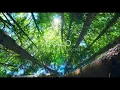 SOLO - AMENAZZY X LARY OVER