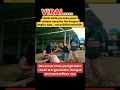 Download Lagu Oknum prem4n pungli menjambret uang ibu ibu #preman #GOR_GOON #shorts
