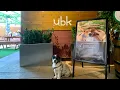 46 - UBK