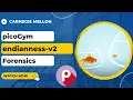 picoGym picoCTF Exercise endianness-v2