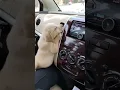 Download Lagu He's just like me in the summer! 🥵 (Via - Nilesh H.) #Dog #Puppy #YellowLab
