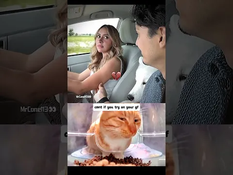 i hope you survive dude 🫡☠️ #cat #memes #react #funny #explore #edit #shorts