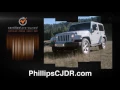 Phillips 83302