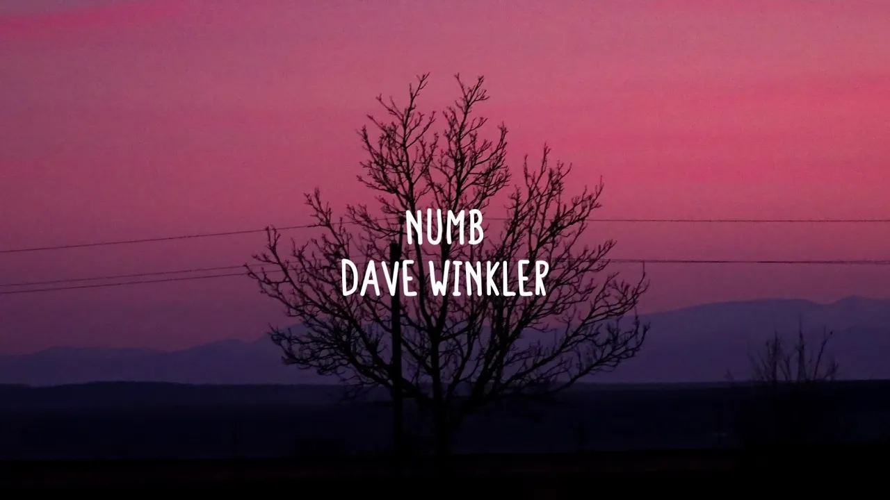 Dave Winkler - Numb (Lyrics) Dave Winkler - Numb (Lyrics)