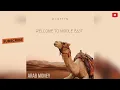 Download Lagu DJ NYTYN - ARAB MONEY