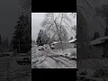 Thunderous crack ice-heavy branch snaps and crashes down happening all around us very loud