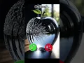 Download Lagu iphone ringtones 🤙🤙🤙 #irringtone #ringtone #ringintone #mobileringtone #viringtone