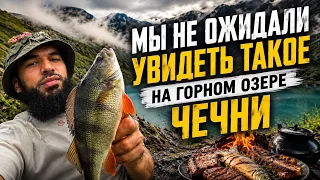 ТАКОЕ БЫВАЕТ ТОЛЬКО ВЫСОКО В ГОРАХ